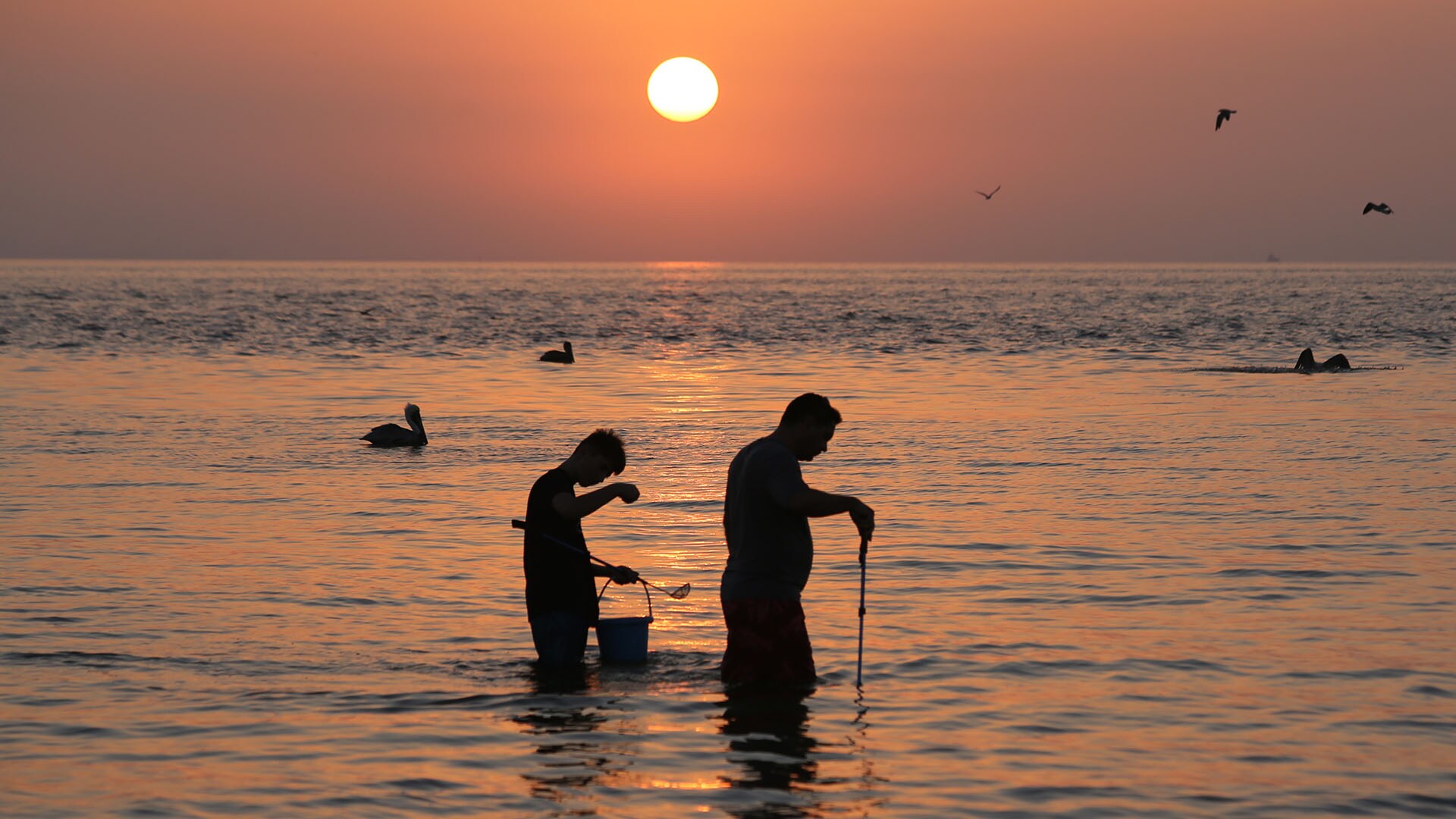 Weekend Getaway for Shells in Sanibel, Florida