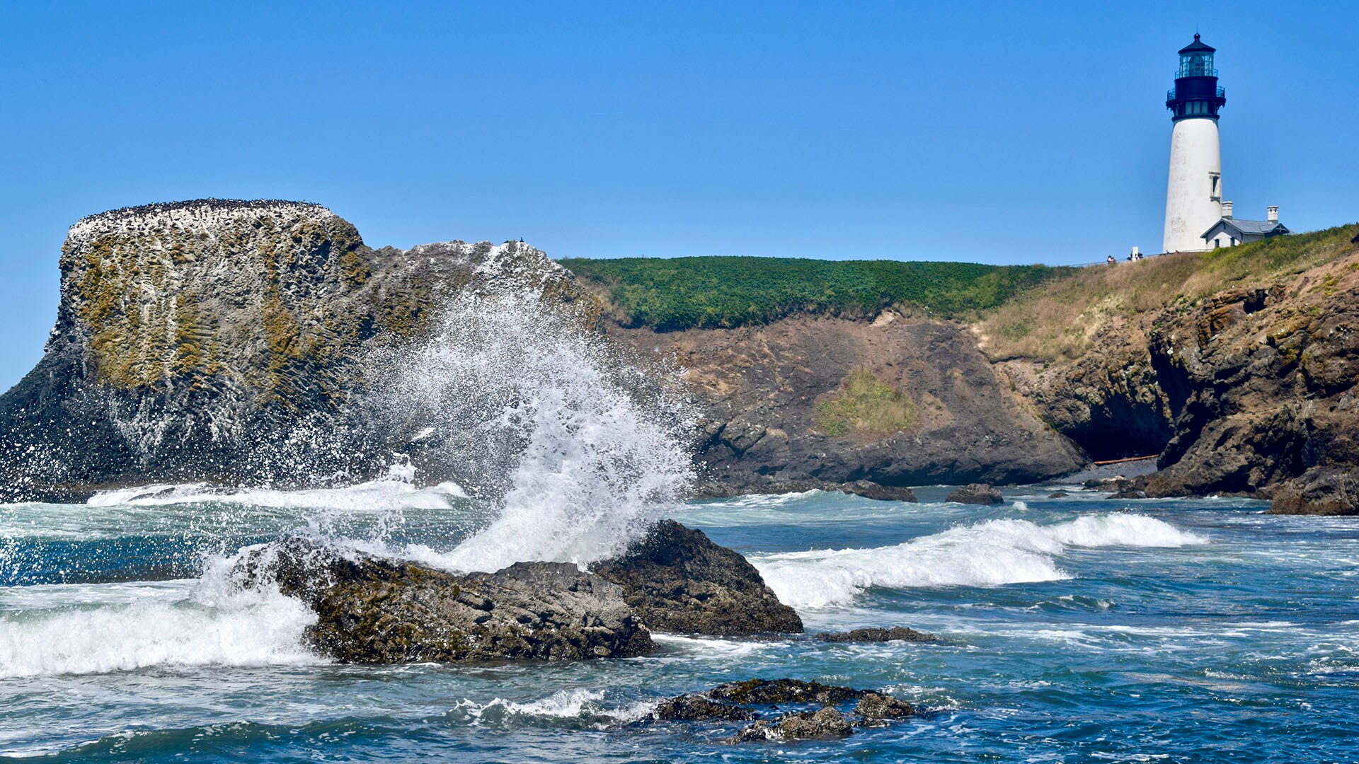 Road Trip Along the Oregon Coast