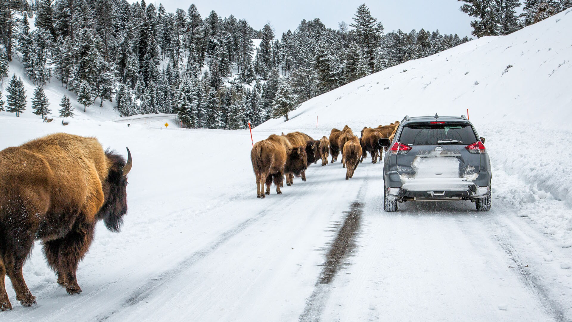 Road Trips to National Parks in Winter